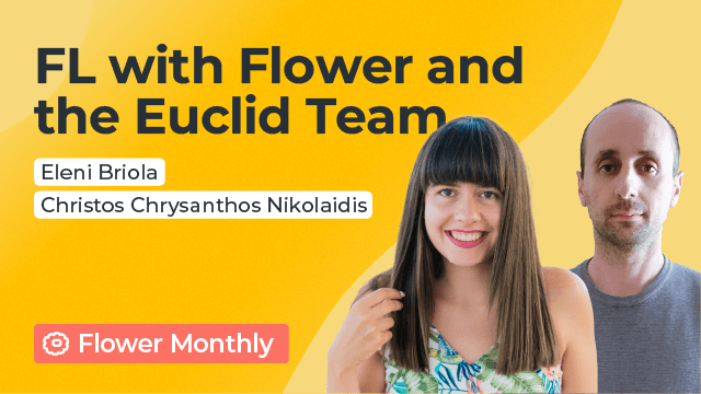 Federated Learning with the Flower Framework: A Collaborative Approach from the Euclid Team - Eleni Briola & Christos Chrysanthos Nikolaidis