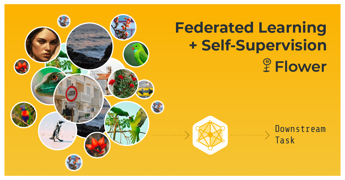 Federated Learning with Self-Supervision