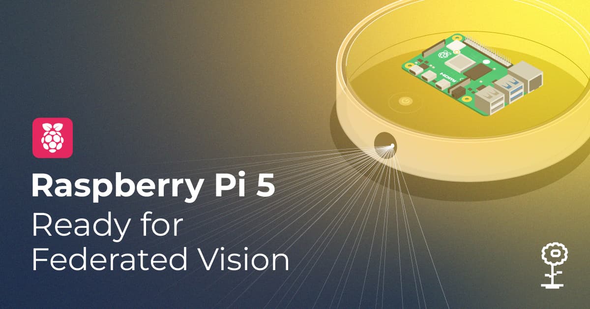 Raspberry Pi 5: Ready for Federated Vision