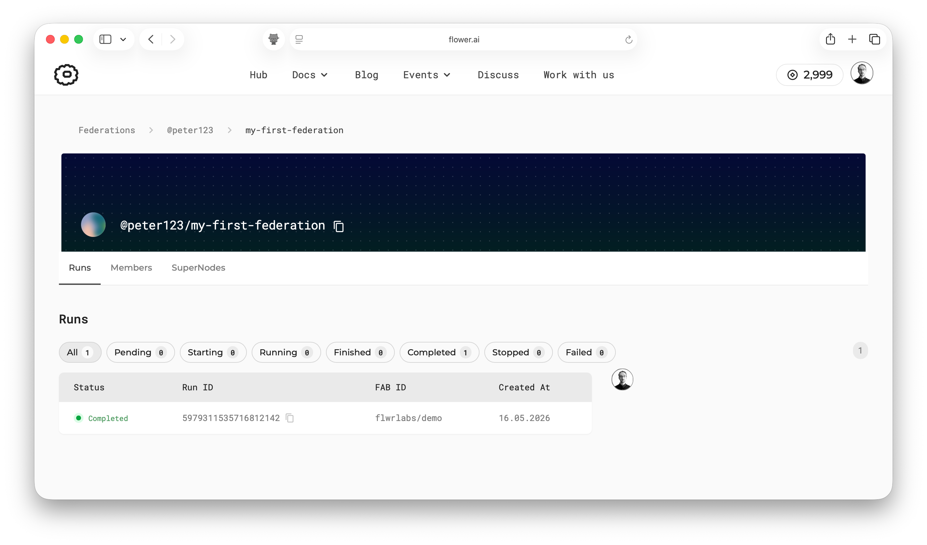 Federation details page showing the run that was launched